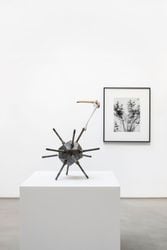 Exhibition view: Jean-Luc Moulène, the dot the well the plain and the rain, Galerie Chantal Crousel, Paris (16 October–18 November 2023). Courtesy the artist and Galerie Chantal Crousel. Photo: Martin Argyroglo. © Jean-Luc Moulène/ADAGP, Paris (2023).