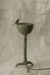 Single Bird by Harumi Klossowska de Rola contemporary artwork