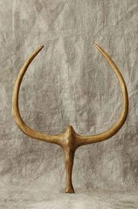 Rereroa by Harumi Klossowska de Rola contemporary artwork