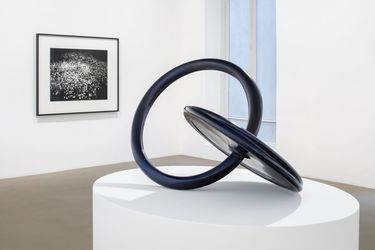 Exhibition view: Jean-Luc Moulène, the dot the well the plain and the rain, Galerie Chantal Crousel, Paris (16 October–18 November 2023). Courtesy the artist and Galerie Chantal Crousel. Photo: Martin Argyroglo. © Jean-Luc Moulène/ADAGP, Paris (2023).