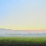 그 순간에 At The Moment 노현우(Noh Hyun-woo), 문호(Moon Ho) 2인전