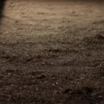 Exhibition by Jae-eun Shin 신재은 @jaeeunshin07